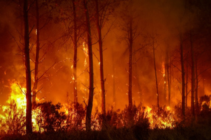 France and Spain have been battling some of their biggest wildfires on record - ROMAIN PERROCHEAU (AFP)