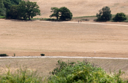 People walk on a dirt track between dry fields, turned brown from the heat of the sun near Guildford, southwest of London - Peter Nicholls (AFP)