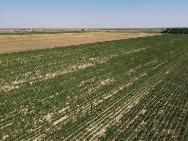 Kazakhstan has been grappling with severe droughts and water shortages - Ruslan PRYANIKOV (AFP)