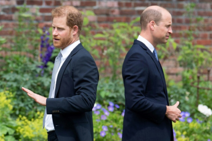 Harry and William are no longer on speaking terms - Dominic Lipinski (AFP)