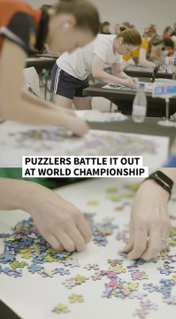 puzzle championships.png