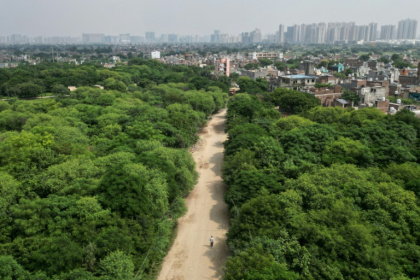 Peepal Baba's trust estimates it has restored vegetation across more than 270,000 hectares - Arun SANKAR (AFP)