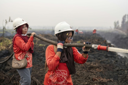 Wildfires in Indonesia are blamed in large part on slash-and-burn land-clearing practices that result in the destruction of fire-resistant forest cover and the draining of peatlands - HERIBERTUS (AFP)