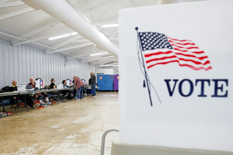 'Fake' pollsters hit US midterms