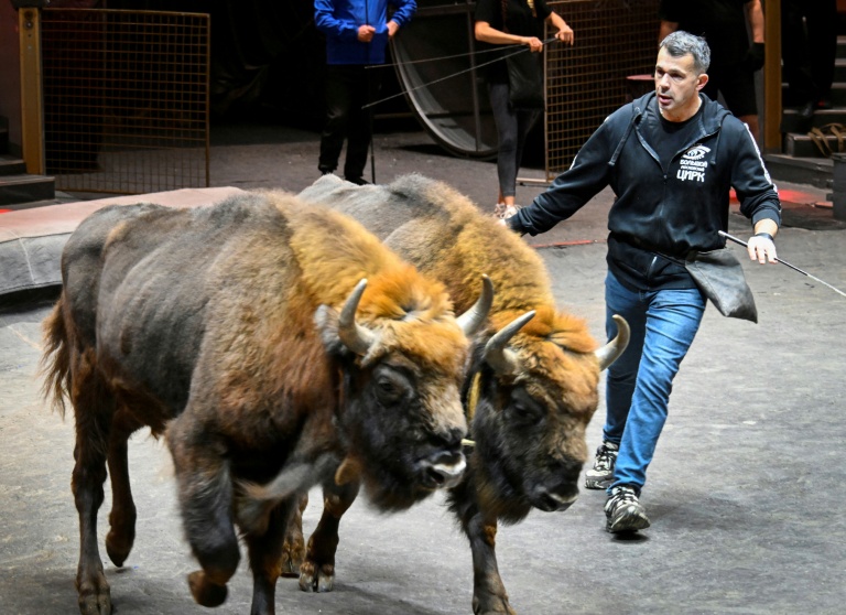 Ivan Deforge, the French 'bison tamer' in Moscow