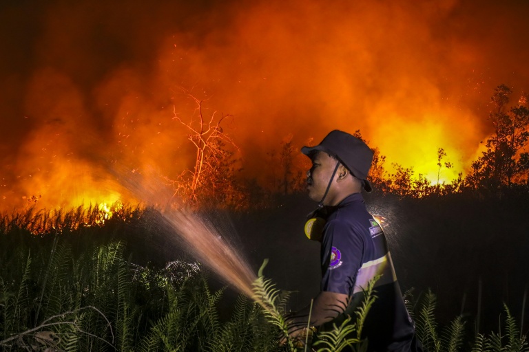 Damaged and drained, Indonesia's peatlands go up in smoke