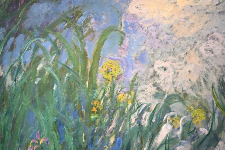 Monet's 'Iris' fetches 50 mn euros at Paris auction