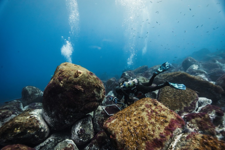 On the front line of ocean conservation off Portugal's Madeira
