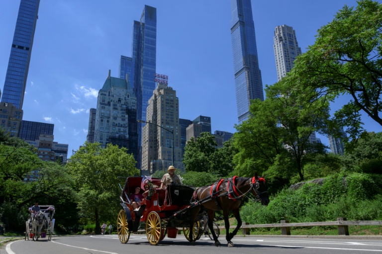 New York votes to ban Central Park horse carriages after decades of debate