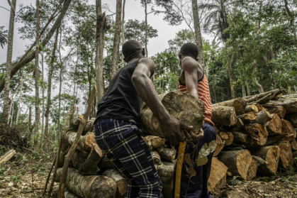 7 mn hectares of forest -- roughly the size of Ireland -- were permanently destroyed in 2025 - Glody MURHABAZI (AFP)