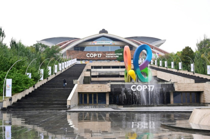 Armenia is hosting the UN COP17 biodiversity talks in its capital Yerevan. - KAREN MINASYAN (AFP)