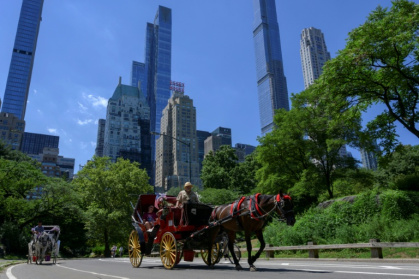 The end may be near for New York's famed horse-drawn carriages in Central Park - ANGELA WEISS (AFP)